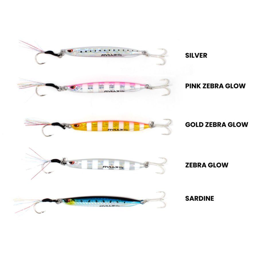 RYUJI SILENT JIG 30gr