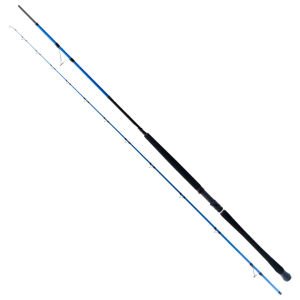 Ryuji Shore Game Fuji 2.95m 30-100gr 2P Shore Jig Kamış