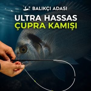 BALIKÇI ADASI Ekstra Hassas 240cm Özel Çupra Kamışı