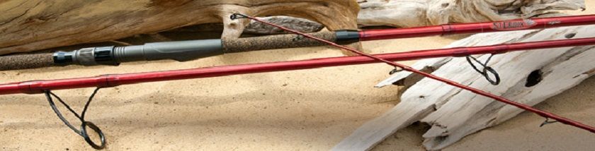 Surf Kamış Çeşitleri