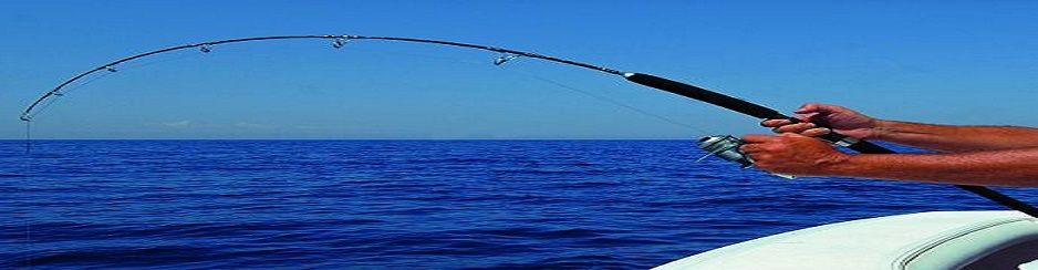 Jig Kamış Çeşitleri