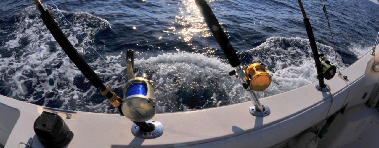 TROLİNG / SIRTI AVI MAKİNELERİ