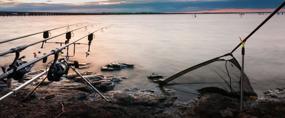 CARP / SAZAN AVI MAKİNELERİ